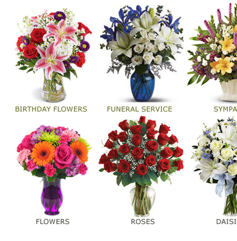 florist in webster ny
